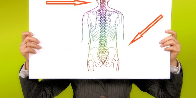 Skeleton μεσοσπονδύλιος δίσκος
